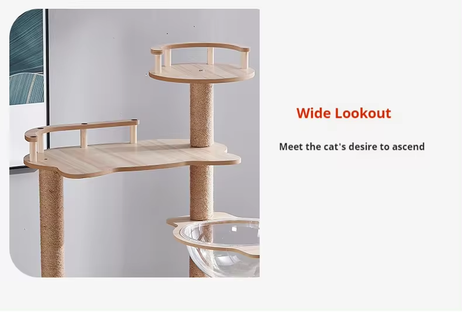 17182466729304 17182466729304