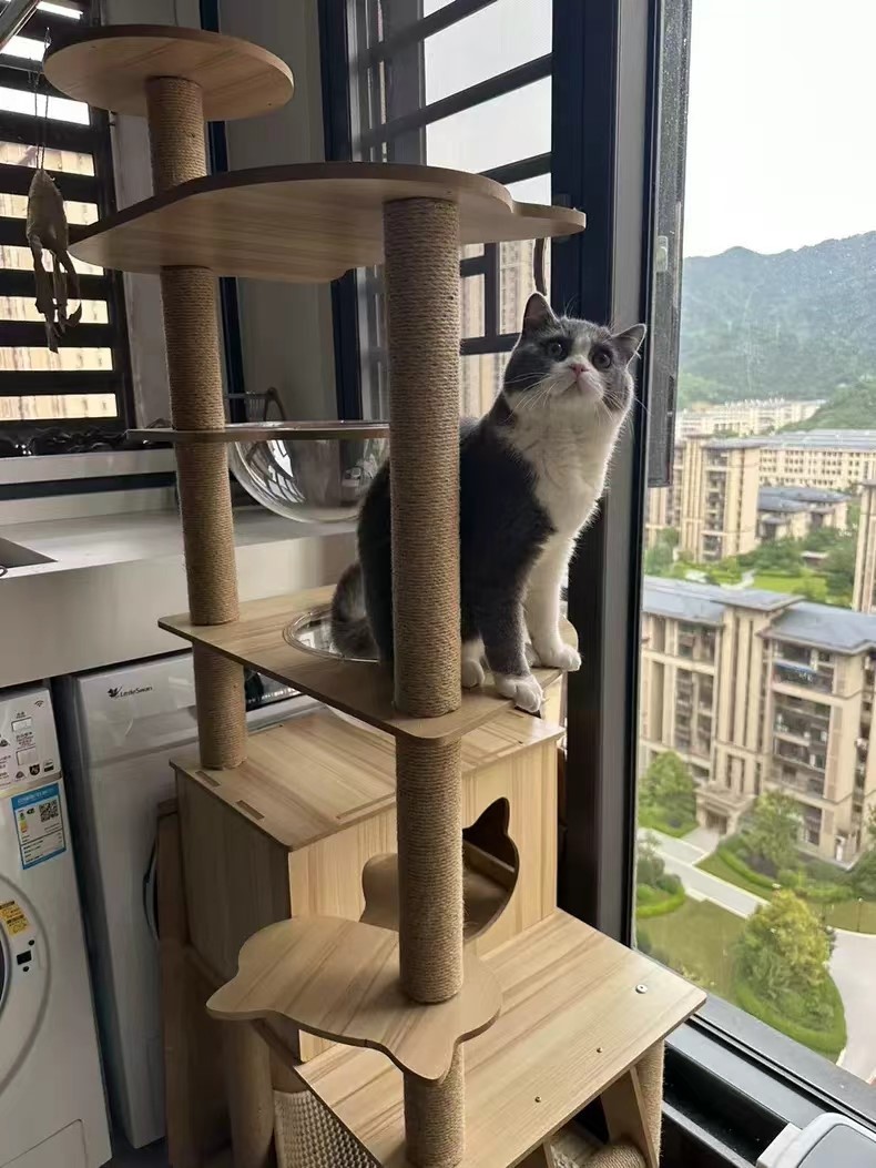 20240613104624 20240613104624